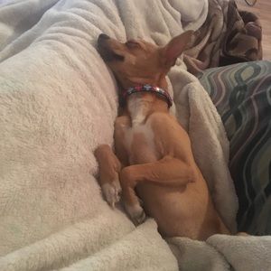 Meet your Posher, Mandy